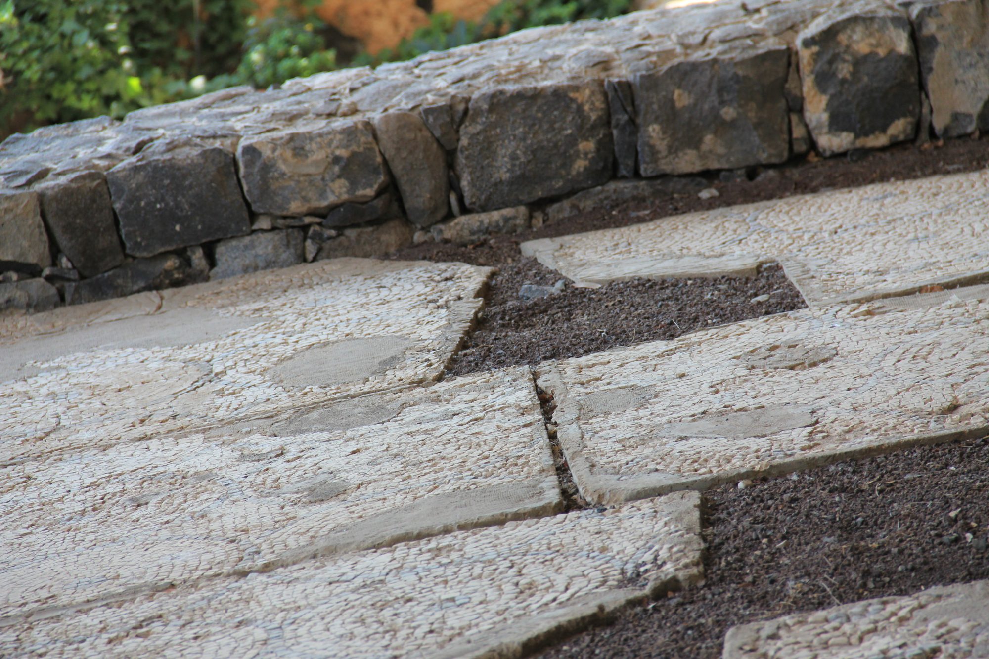 Capharnaum 50